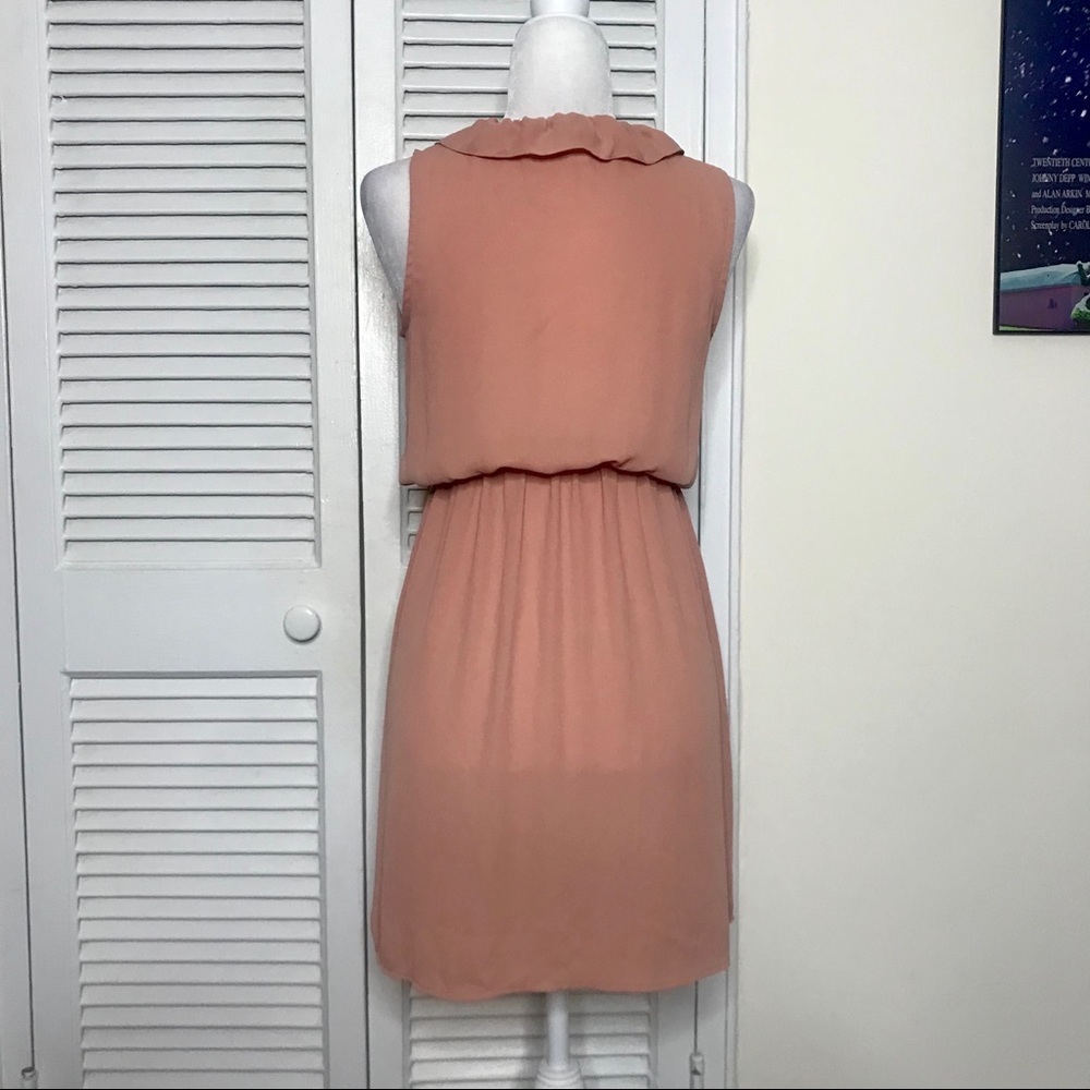 Forever 21 pink dress with black accents - Picture 4 of 4